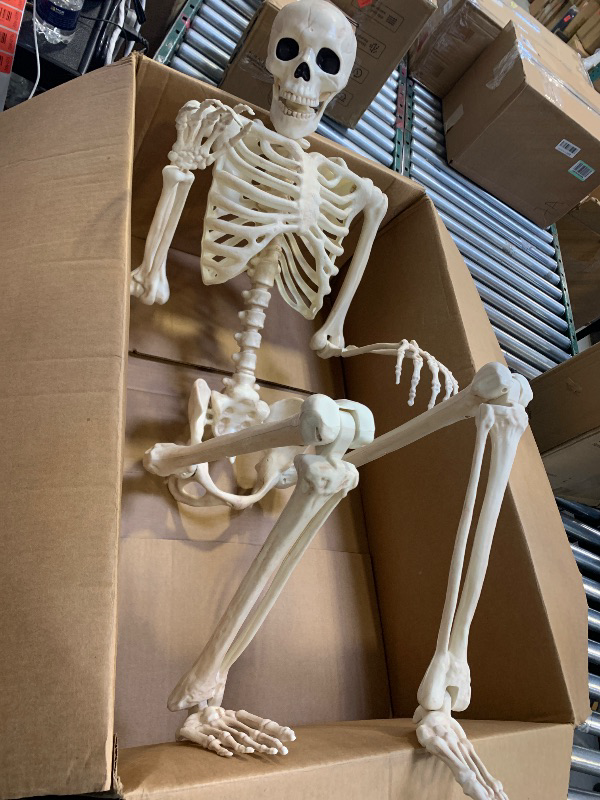 Photo 1 of 5.4ft Halloween Skeletons Full Body Bones with Movable Joints for Halloween Props Spooky Party Decoration