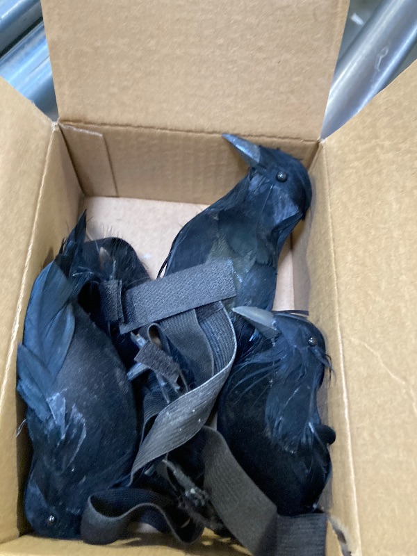 Photo 1 of Adnee 3 Pcs Mix Size Halloween Crow on Shoulder,Realistic Black Feather Crow Statue with Shoulder Strap,Raven Shoulder Costume for Halloween Cosplay Party Outfit Props