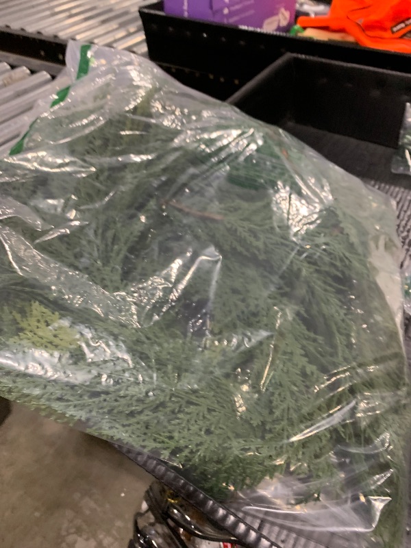 Photo 1 of  plain Christmas wreath