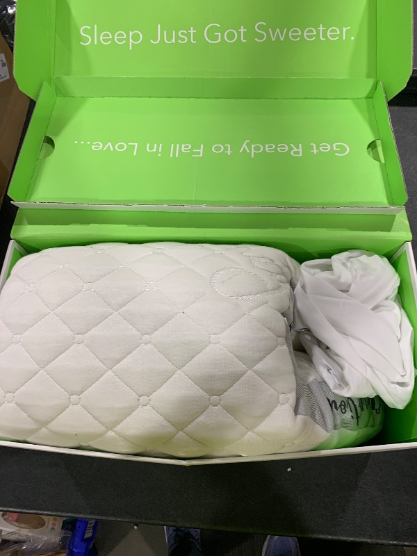 Photo 1 of Honeydew Scrumptious Cooling Side Sleeping Pillow with Free Pillowcase- Best for Side Sleepers- Neck and Shoulder Pain Relief Pillow- The Most Awarded Side Sleeper Pillow- Made in The USA (Queen Size)