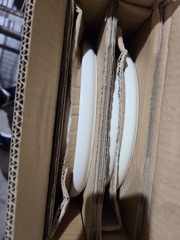 Photo 1 of Amazon Basics Glazed Stoneware Dinner Plates, Ceramic 4-Piece Set, Microwave and Dishwasher-Safe, 10.5 in., Ivory