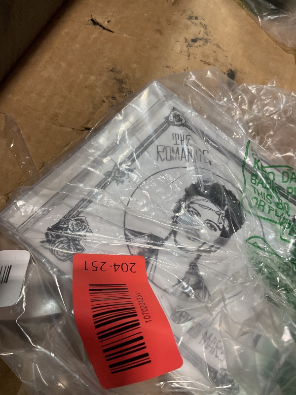 Photo 1 of **DAMAGED CASE**The Romantic