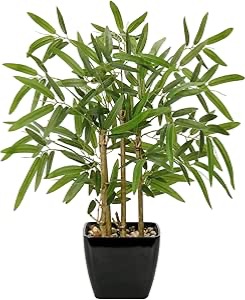 Photo 1 of 18 Inch Fake Bamboo Tree Plant Indoor Potted Plants Faux Bamboo Plants in Black Pot with Solid Wood Trunk Artificial Bamboo Tree Small Faux Plants Excellent Gift Silk Plants for Home Office Decor