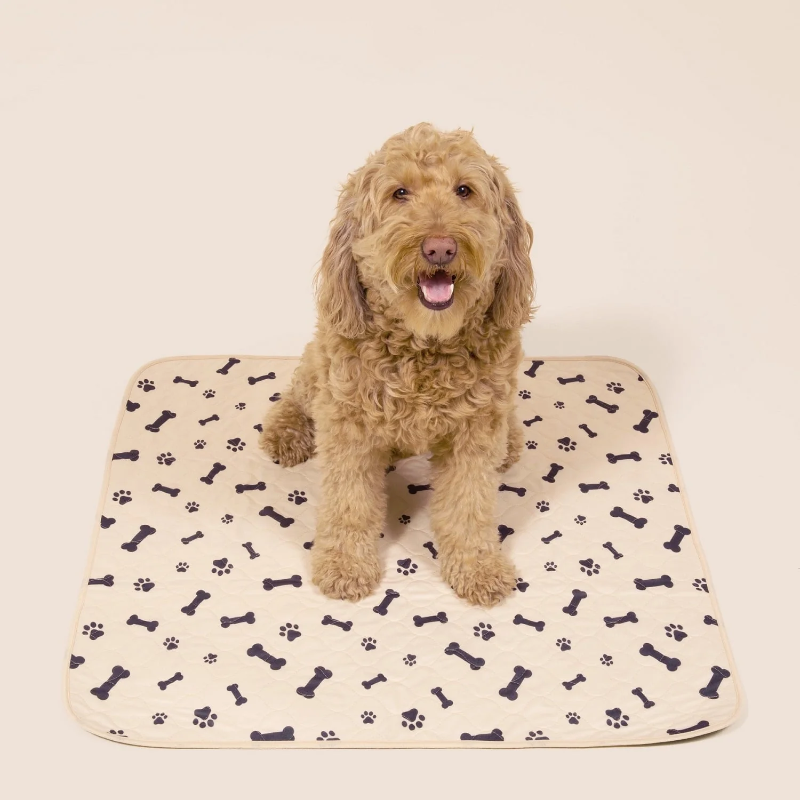 Photo 1 of **Small** POTTY BUDDY™ - THE DURABLE LEAK-FREE POTTY PAD 