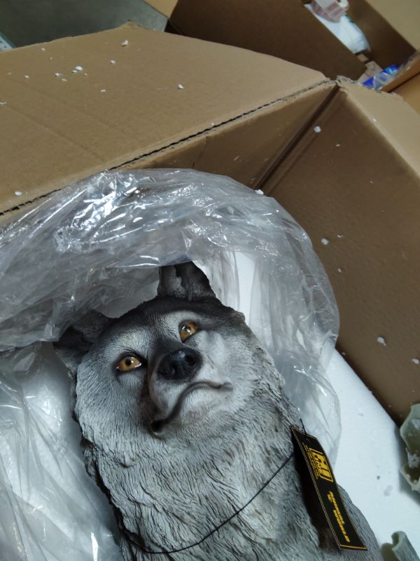 Photo 1 of ***FRONT ARMS BROKEN OFF ***Hi-Line Gift Ltd. Sitting Grey Wolf Statue