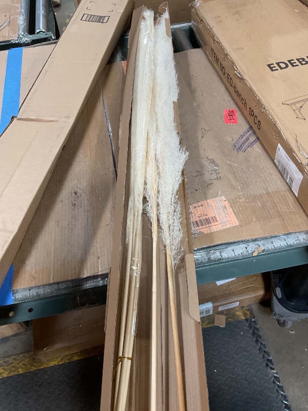 Photo 1 of 10 Stems 46" inch White Pampas Grass Decor Tall, Large Pompas Grass, Boho Neutral Home Decor Bouquet, Fluffy Pampass Grass for Floor Vase Wedding Floral Arrangements Wall Farmhouse Table Decor