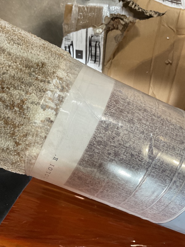 Photo 1 of ** DIRT FROM TRANSPORT**Loloi Sorrento Collection SOR-01 Bark/Natural 5'-3" x 7'-6" Area Rug