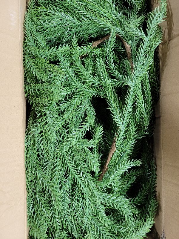 Photo 1 of 12FT(2 * 6FT) Christmas Norfolk Pine Garlands, Winter Decor Real Touch Pine Garland, Artificial Greenery Xmas Garland for Holiday, Table, Wall, Fireplace, Mantel, Indoor & Outdoor Decoration (2 Pack)