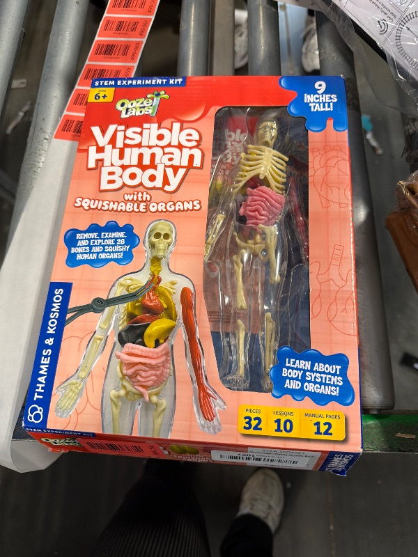 Photo 1 of ** missing a foot*
Thames & Kosmos Ooze Labs: Visible Human Body with Squishable Organs