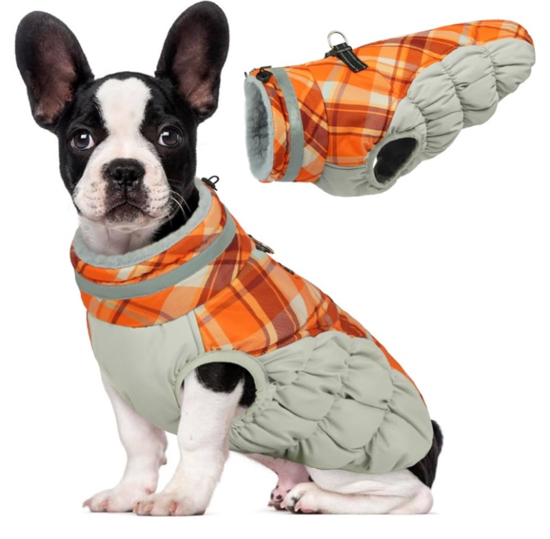 Photo 1 of **PICTURE FOR REFERENCE***
Winter vest for pets