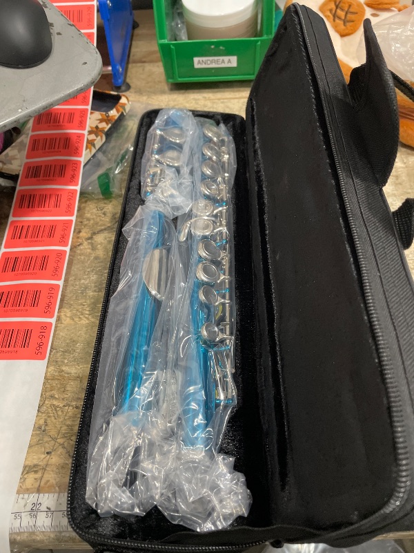 Photo 1 of ****************missing the neck, not complete***************
POGOLAB Flutes, Closed Hole C 16 Keys Flute Instrument, Student Flute for Beginner School Orchestra Band, with Cleaning Kit, Carry Bag, Strap, Probe Rod, Gloves (Sky Blue)