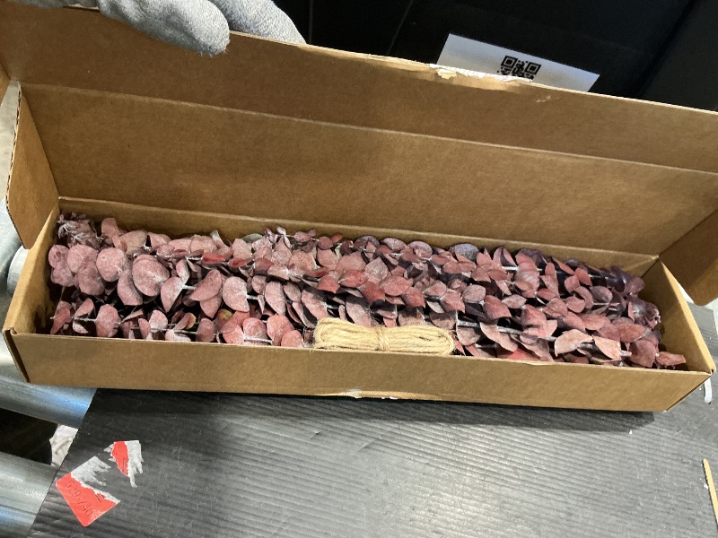 Photo 1 of (20Pcs) Dried Eucalyptus Stems - Red, Fall Decorations for Home, Real Long Eucalyptus, Dried Flowers for Vase, 17" Floral Arrangement, Wedding