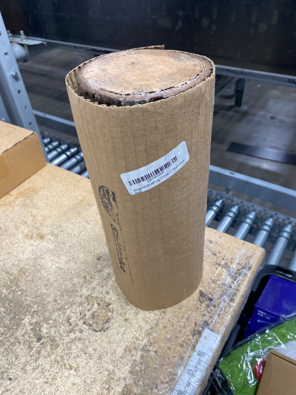 Photo 1 of ***POSSIBLY MISSING MUSHROOMS*** Shiitake Mushroom Log 12inches 12" Mushrooms