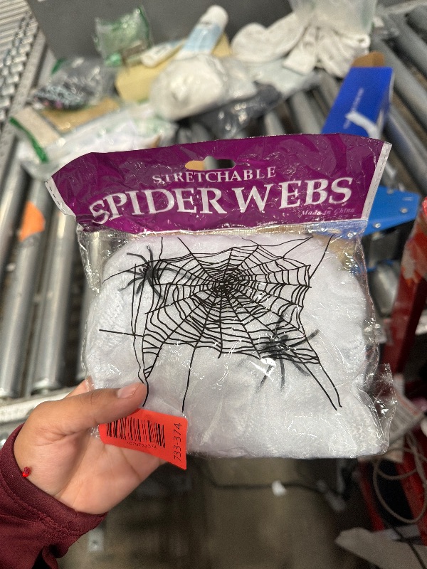 Photo 1 of  fake spiderweb 