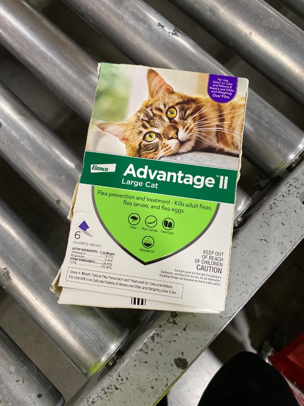 Photo 1 of Advantage II Large Cat Vet-Recommended Flea Treatment & Prevention | Cats Over 9 lbs. | 6-Month Supply