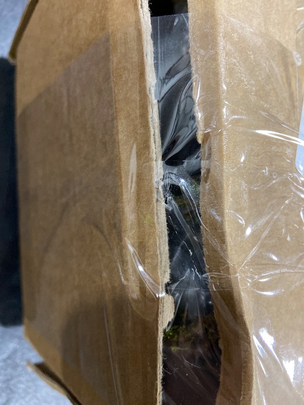 Photo 1 of 74.8inch Long Malleable Black Halloween Tree Weeping Branches Twigs Greenery Garland Hanging Moss Faux Ghost Grape Vine for Haunted Forest Outdoor Mantel Fireplace Porch Arch Stairway Yules Decor (2)