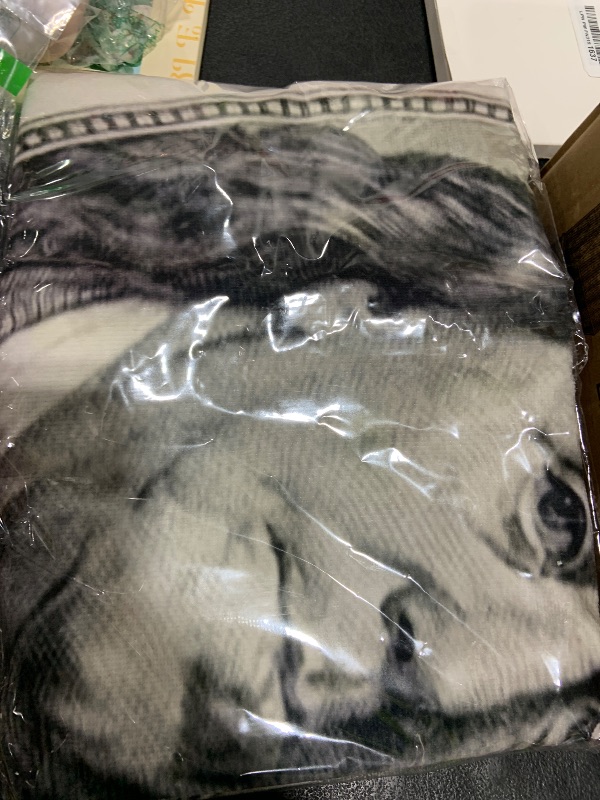 Photo 1 of $100 Dollar Bill Blanket 