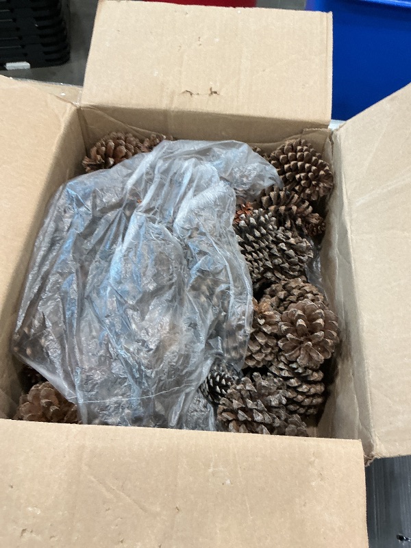 Photo 1 of 100 Mix Size Natural Pine Cones for Decorating - 50 Medium & 50 Small Pinecones for Crafts, Home Decor, Vase Fillers & Christmas Trees - Unscented Pinecone Decor for Home by Billy Buckskin