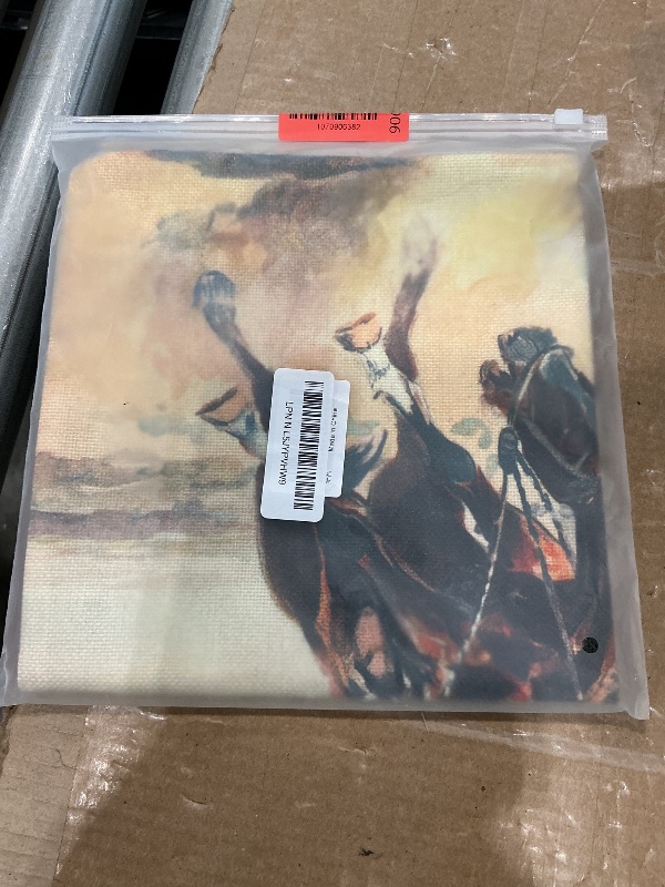 Photo 1 of 1 pillow cover