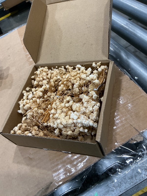 Photo 1 of 100+Pcs Mini Dried Babys Breath Flowers, 5600+ Multiple White Baby Breath Flowers Bulk, Dried Flower for Candle Making Invitation Resin Crafts, Gypsophila for Christmas Wedding Decor