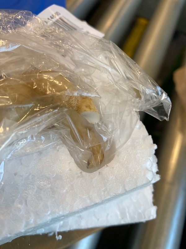 Photo 1 of ***MINOR DAMAGE*** Chestnut French Bulldog Hanging Christmas Ornament, Unique Hanging Dog Ornament, Gift for Dog Lovers, 3 Inches