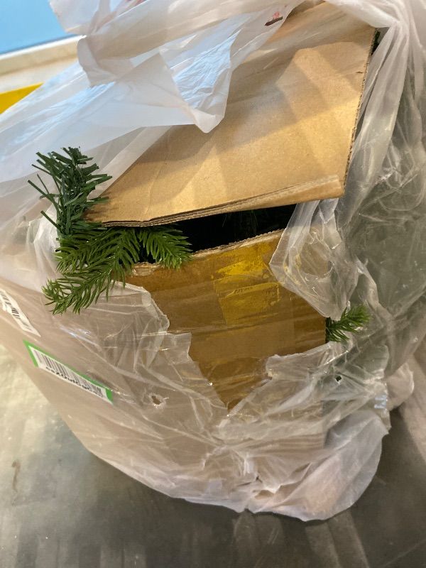 Photo 1 of Christmas tree with lights