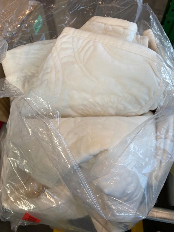 Photo 1 of *MISSING PARTS UNKNOWN*
EverGrace Luxury Pearl Velvet Quilt Set Queen Size 3 Pieces, Soft Paisley-Stitch Velvet Comforter Set with Pillow Shams, Lightweight Bedspread Coverlet Bedding Set, Ivory White