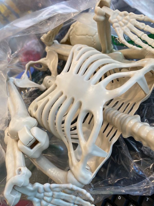 Photo 1 of **UNTESTED**
GCNBCNB Halloween Skeleton Decorations,36" Posable Human Skeleton Decorations for Halloween Party Decor, Haunted House Props Indoor Outdoor Decoration