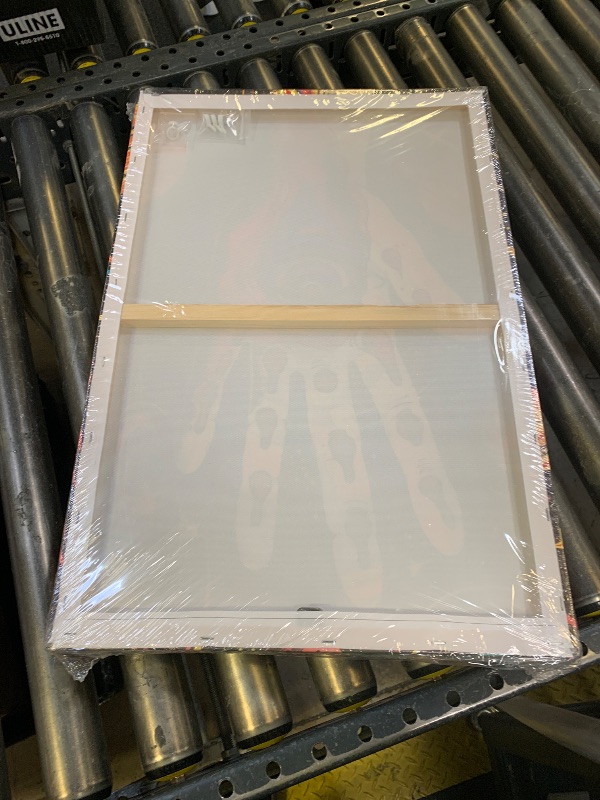 Photo 1 of 3 Piece Trippy Body Canvas