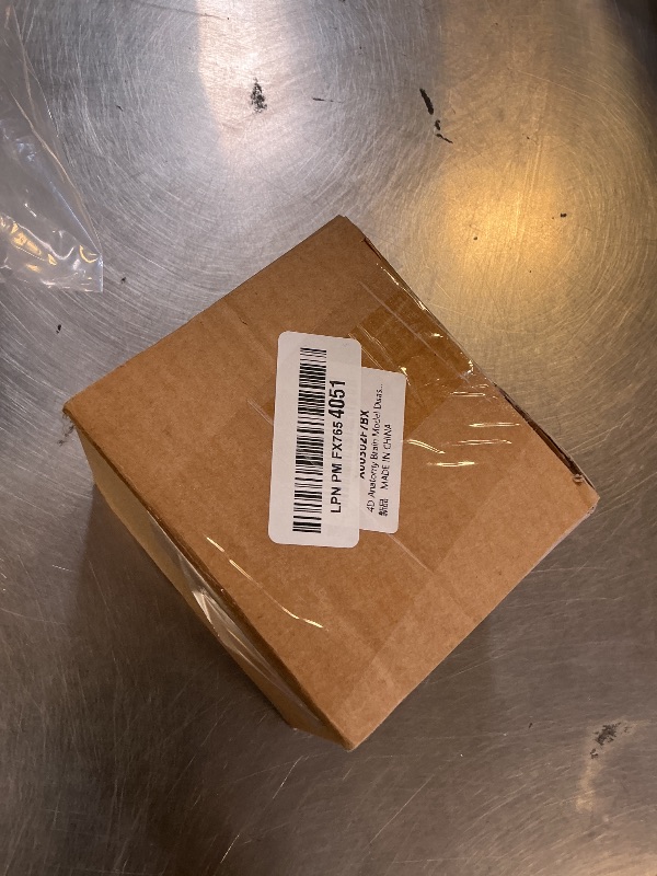 Photo 1 of 4D Anatomy Brain Model Disassembled Human Brain Model Structural Anatomy Medical Teaching Learning Tool,Plastic Human Head Anatomy Model