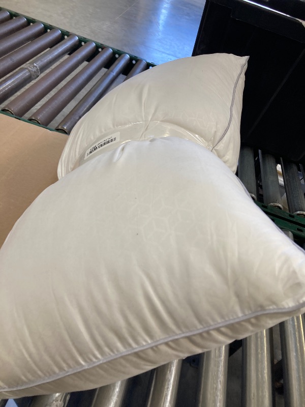 Photo 1 of 2 pack pillows