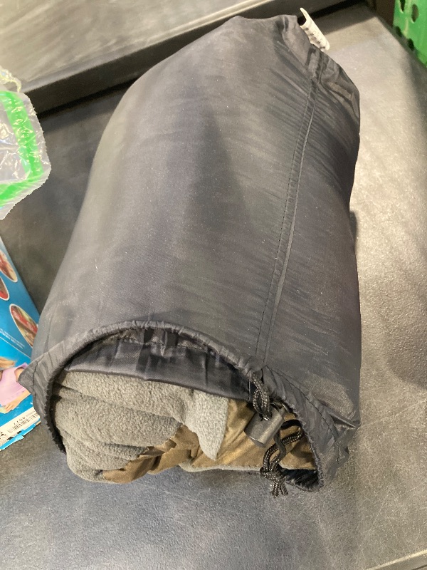 Photo 1 of grand camp pillow 
