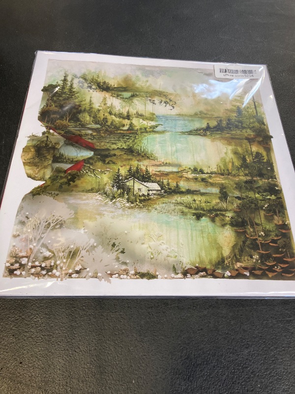 Photo 1 of BON IVER