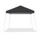 Photo 1 of *** STOCK PHOTO FOR REFERENCE ONLY***Z-Shade Odyssey 10' x 10' Slant Leg Instant Canopy