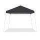 Photo 1 of *** STOCK PHOTO FOR REFERENCE ONLY***Z-Shade Odyssey 10' x 10' Slant Leg Instant Canopy
