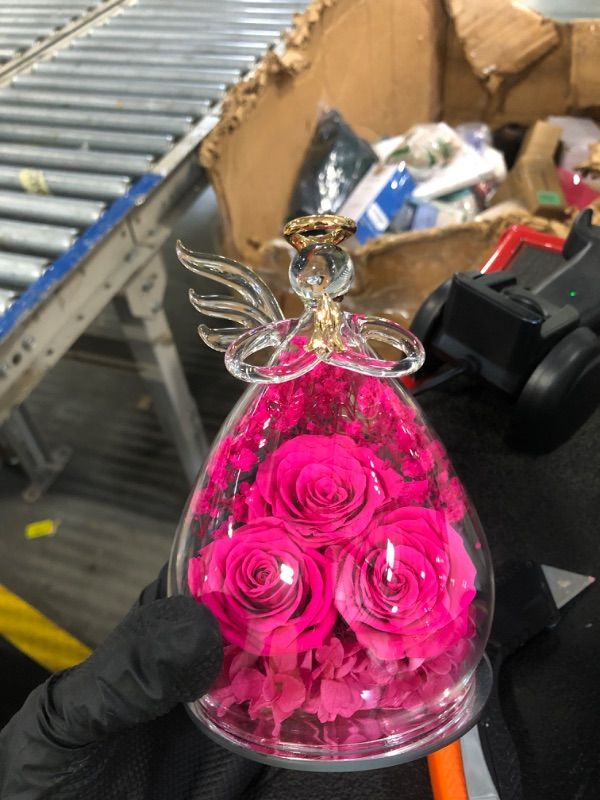 Photo 1 of ** sold as is no refund/return** see comments
Beferr Gifts for Mom Birthday Gifts for Women, Fresh Flowers for Delivery Forever Preserved Rose in Glass Angel Figurine, Anniversary Christian Real Rose for Grandma Wife Mother from Daughter Son
