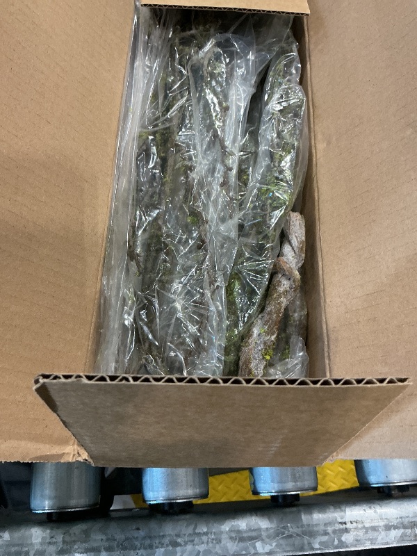 Photo 1 of 190cm/74.8inch Artificial Creepy Flexible Tree Branches Faux Grape Vines Garland Twigs with Moss Wood Craft for Halloween Door Wall Hanging Cottage Haunted Mansion Theme Outdoor Mantel Decoration (1)