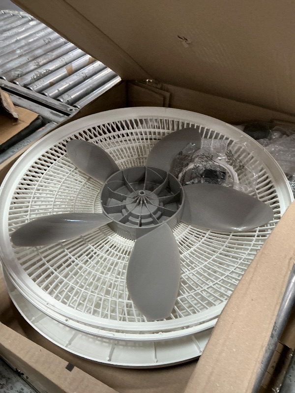 Photo 1 of *** tan***    Lasko Cyclone Oscillating Pedestal Fan - Adjustable to 54" - 1843 - Black