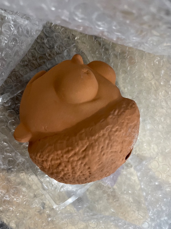 Photo 1 of **SEE NOTES***Chia Pet Rick & Morty - Morty with Seed Pack, Decorative Pottery Planter, Easy to Do and Fun to Grow, Novelty Gift, Perfect for Any Occasion