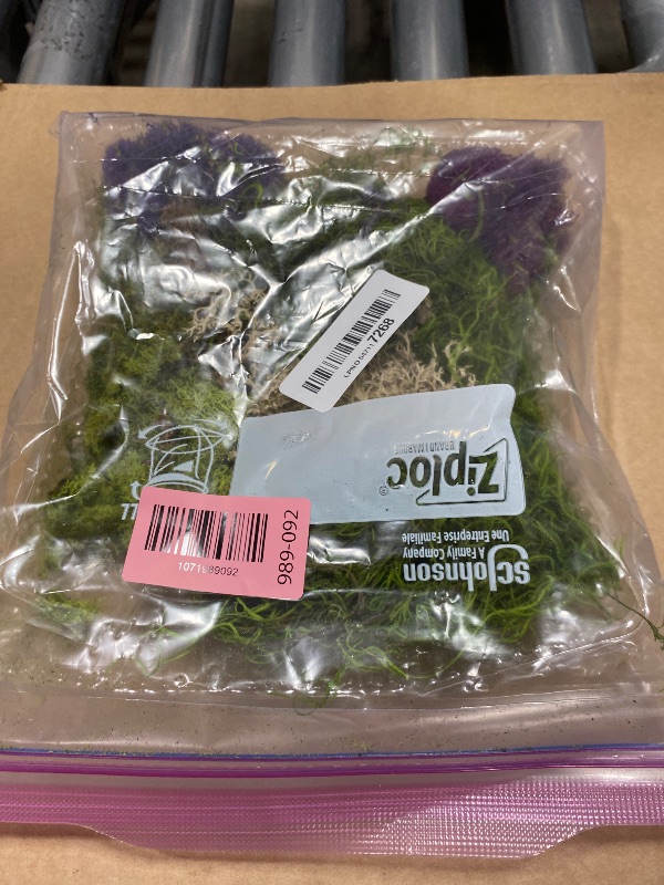 Photo 1 of [Upgraded] DUSPRO Green Moss for Crafts, Real Forest Moss Potted Plants, Decorative Mosses for Table Centerpieces Wedding, Easter Day Decoration, Indoor Planters, DIY Project (2 Oz)