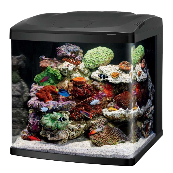 Photo 1 of THE BIOCUBE