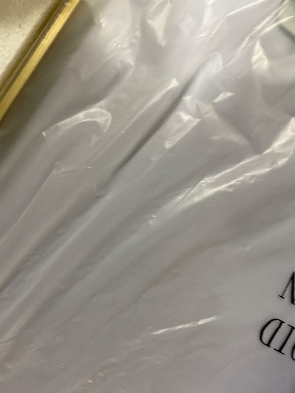 Photo 1 of Kohler Essential 28 in. X 60 in. Rectangular Bathroom Vanity Mirror in Moderne Brushed Gold