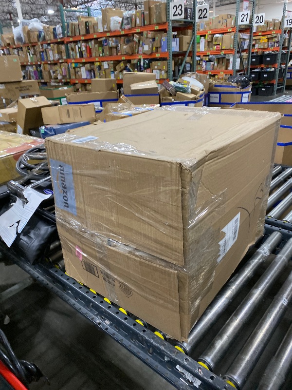 Photo 1 of Loloi Rifle Paper Co. Rosa Collection RSA-01 Ivory 7'-6" x 9'-6" Area Rug