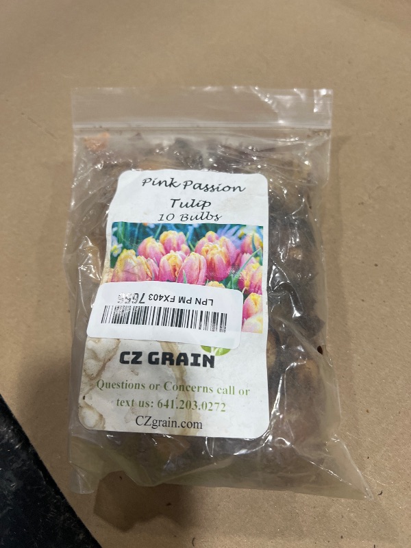 Photo 1 of 10 Pink Passion Tulip Bulbs for Planting - Easy to Grow Fall Planting Flowers for Bright Spring Blooms
