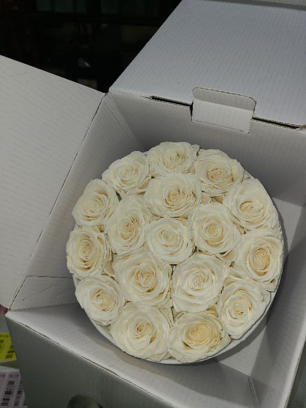 Photo 1 of 17 Forever Flowers in a Luxury Suede Box, Preserved Roses Birthday Gifts for Women, Romantic Anniversary Valentines Day Gift for Her Girlfriend Wife, White