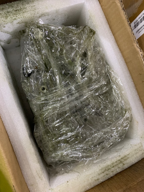 Photo 1 of YDMON RE0F11A JF015E CVT Transmission Valve Body, Compatible with N-i-ssan Sentra 2013-2019 1.6L 1.8L, Automotive Transmission Valve Body With Solenoid Replaces Part 31705-X428E 31705-X428B(Greased up) 