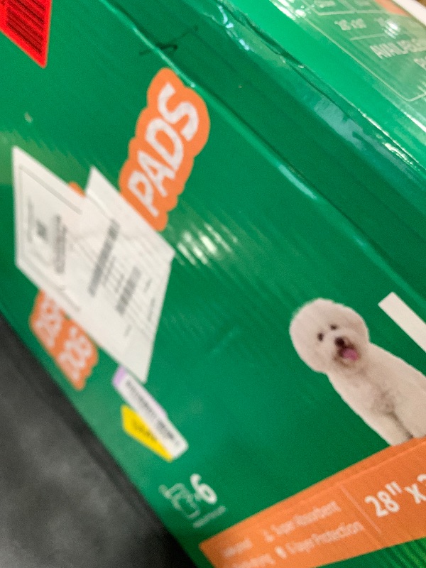 Photo 1 of 100 Count Large Dog & Cat Puppy Pee Pads - 28"x30" Absorbent Potty Training Pads | Leakproof Quick-Dry Disposable Pet Pads for Puppies, Dogs & Cats | Indoor, Outdoor, Litter Box, Housebreaking Use