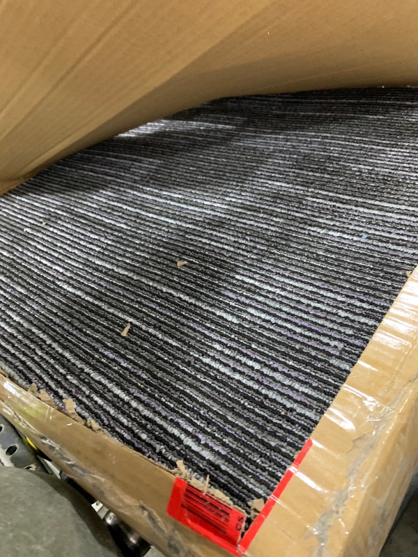 Photo 1 of BLACK AND WHITE CARPET PIECES