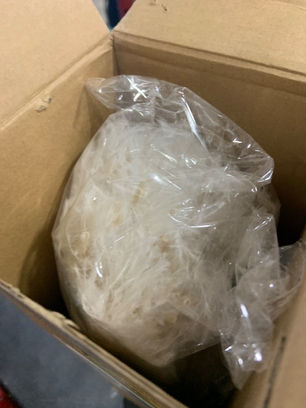 Photo 1 of XunYee 100 Pcs Large Natural Ostrich Feathers Plumes Bulk for Centerpiece 16-18 Inch (40-45 Cm) Feathers for DIY Crafts Christmas Wedding Masquerade Party Decorations(White)