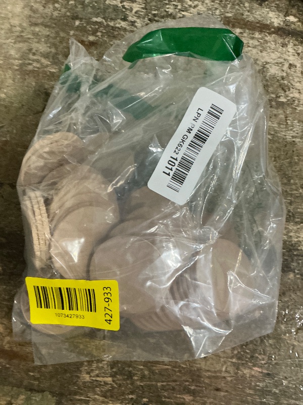 Photo 1 of 2 Inch Natural Wood Slices Unfinished Round Wood Coins, 60 per Pack